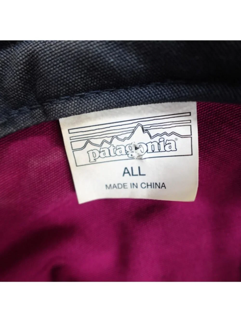 Patagonia Womens Hat Blue Snapback Trucker Fitzroy Bear